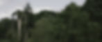7_edited.jpg