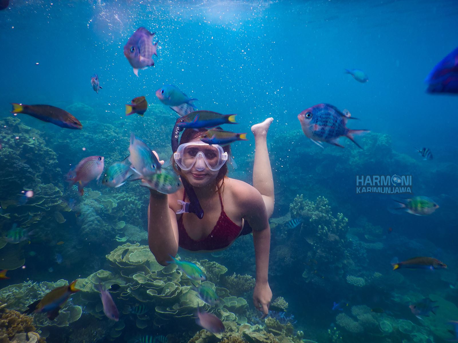 Snorkelin Karimunjawa